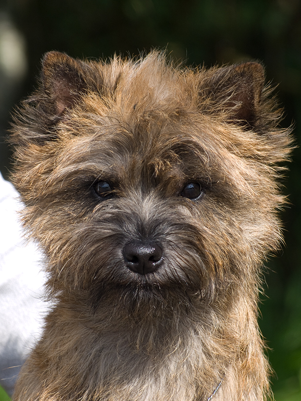 wilma-hoved - sep. 2008