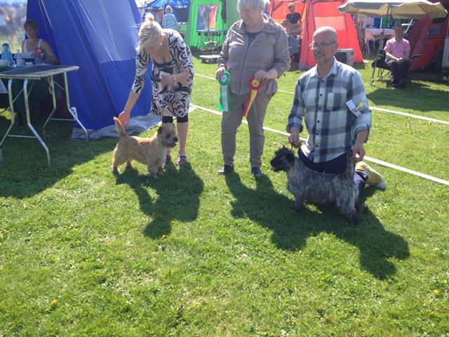 calehill viggo sech 2013