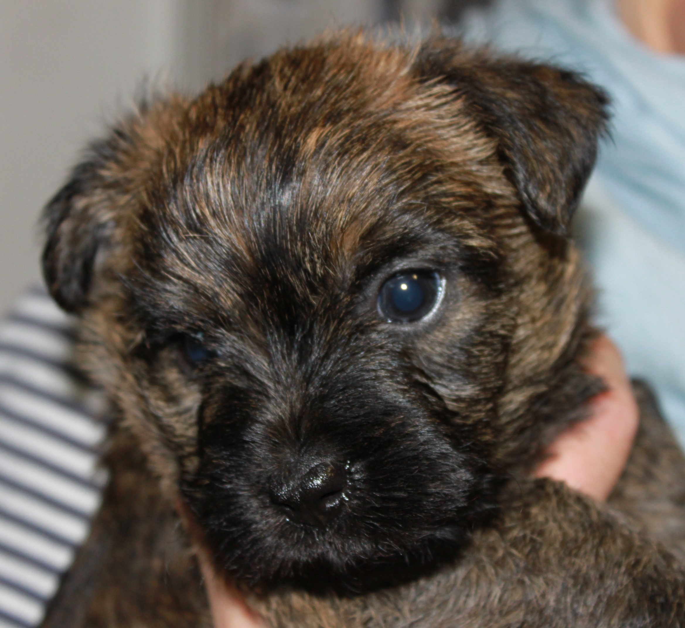 IMG 6343