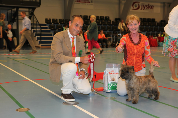 calehills laurits BIG1 unghund Hedensted 2013