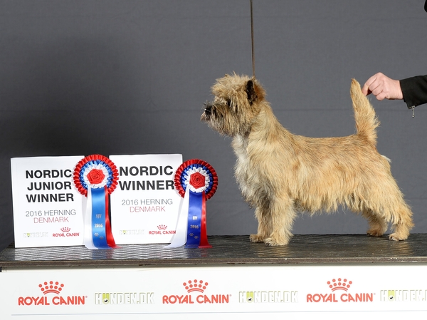 20161106nordic winner